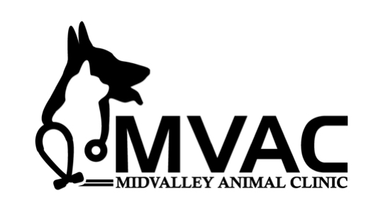 Vet Assistant - Salt Lake City, Utah, USA Job Opening - Midvalley Animal  Clinic Jobs
